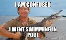 Steve irwin