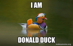 Fashionable Advice Mallard
