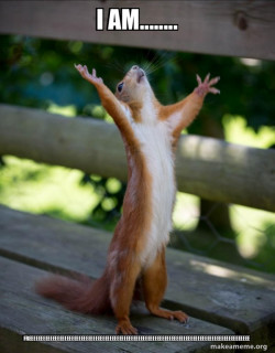 Happy Squirrel