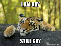 Confession Tiger