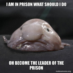 Blobfish