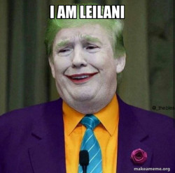Donald Trump - The Joker