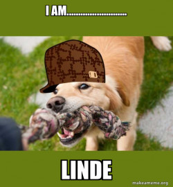 Scumbag dog