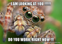 Hipster Spider