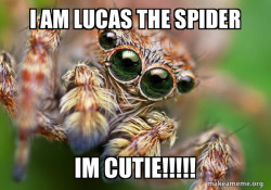 Hipster Spider