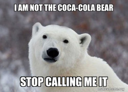 Popular Opinion Polar Bear