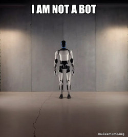 Tesla Robot