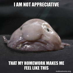 Blobfish