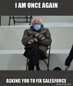 Bernie Sanders at the Inauguration