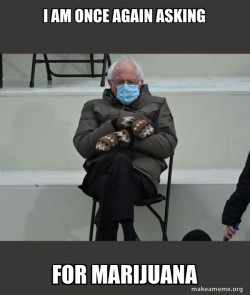 Bernie Sanders at the Inauguration