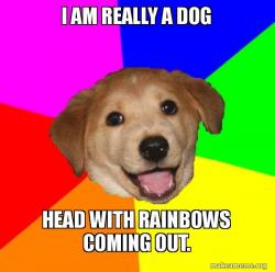 Advice Dog