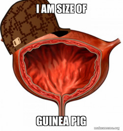 Scumbag Bladder