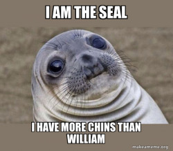 Squeamish Seal