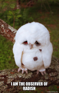Sad Owl