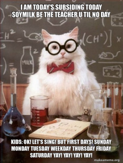 Chemistry Cat