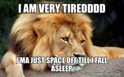 Confession Lion