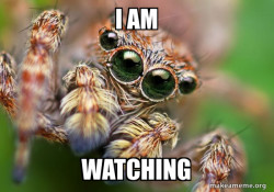 Hipster Spider