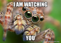 Hipster Spider