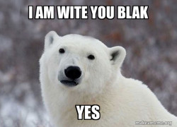 Popular Opinion Polar Bear