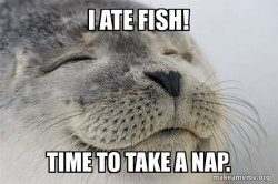 Satisfied Seal