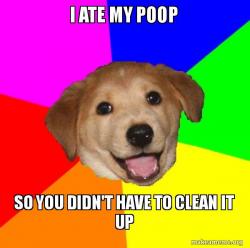 Advice Dog