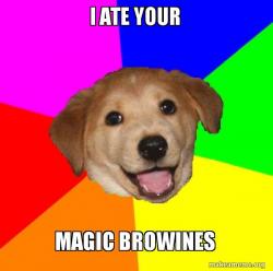 Advice Dog