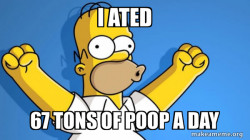 poooooooooooooooooooooooooooooooooooooooooooooooooooooooooooooooooooooooooooooooooooooooooooooooooooooooooooooooooooooooooooooooooooooooooooooooooooooooooooooooooooooooooooooooooooooooooooooooooooooooooooooooooooooooooooooooooooooooooooooooooooooooooooop
