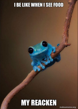 Small Fact Frog