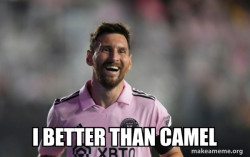 I better than camel