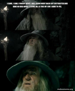 Confused Gandalf