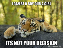 Confession Tiger