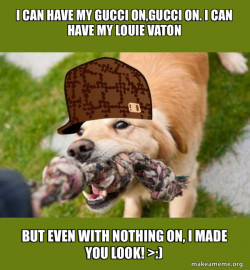 Scumbag dog