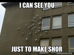 Paranoia meme