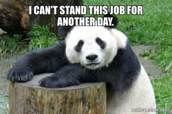 Confession Panda