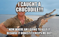 Steve irwin
