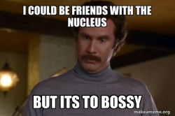 Ron Burgundy I am not even mad or That's amazing (Anchorman)