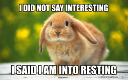Regretful Rabbit
