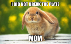 Regretful Rabbit