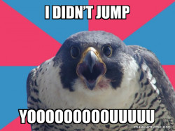 Millennial Falcon
