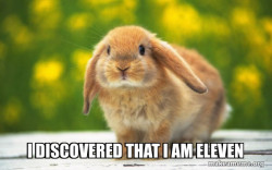 Regretful Rabbit