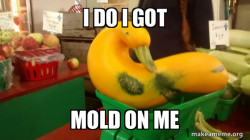 Gourd Advice Mallard