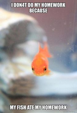 Grumpy Fish