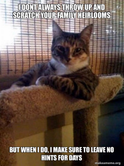 The Most Interesting Cat in the World