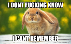 Regretful Rabbit