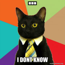 Business Cat
