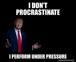 Trump Everything is FIne