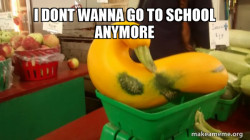 Gourd Advice Mallard