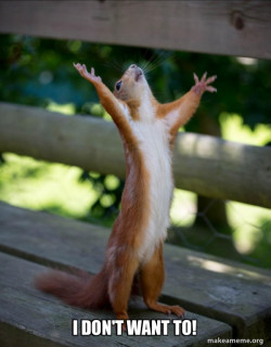 Happy Squirrel