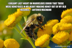 Good Guy Bee