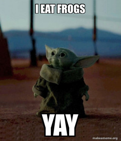 Baby Yoda